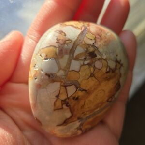 Ibis Jasper Palm Stone